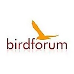 Birdforum