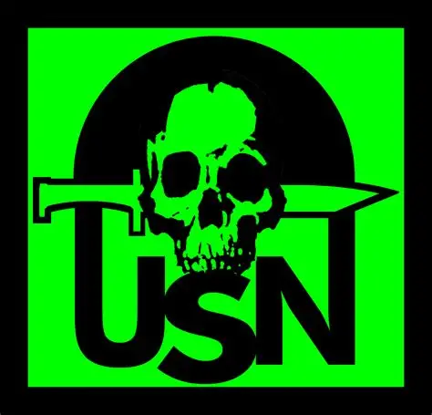 USNV2（Usual Suspect Network V2，简称 USN）